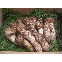 Amazon.co.jp: Matsutake Mushrooms, Made in Japan, 10.6 oz (300 g